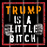 5 Politistickers - Sticker Grab Bag