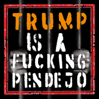 5 Politistickers - Sticker Grab Bag