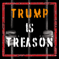 5 Politistickers - Sticker Grab Bag